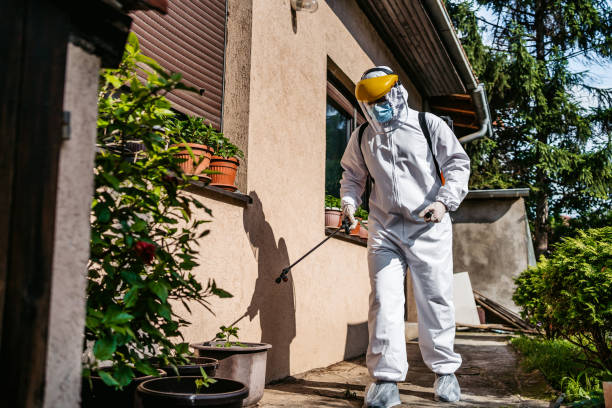 Best Rat Extermination Near Me  in Creston, OH