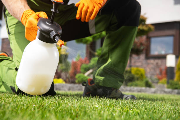 Best Affordable Pest Control Services  in Creston, OH