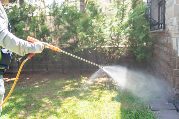 Best Wasp Removal Services  in Creston, OH