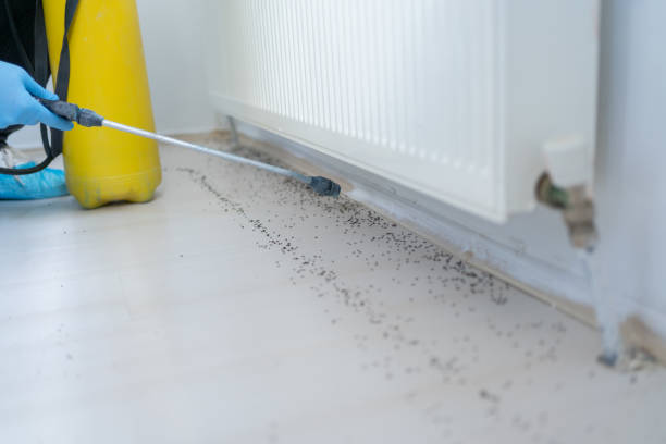 Best Pest Removal Services  in Creston, OH