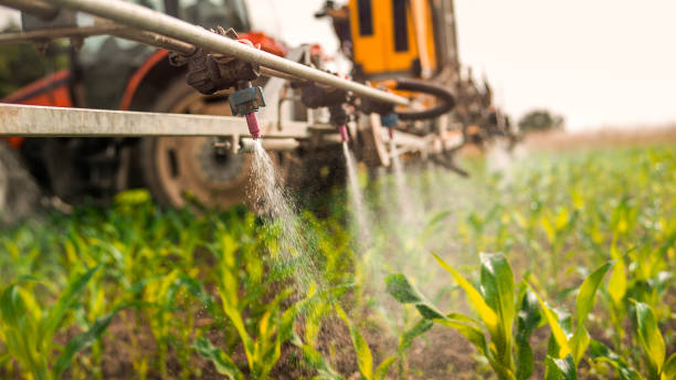 Best Pest Prevention Services  in Creston, OH